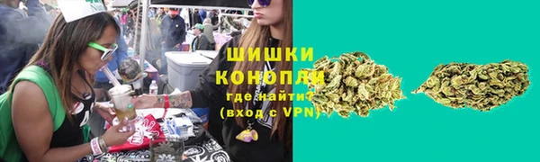ПСИЛОЦИБИНОВЫЕ ГРИБЫ Алексеевка
