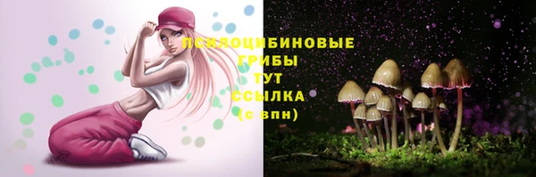 ПСИЛОЦИБИНОВЫЕ ГРИБЫ Алексеевка